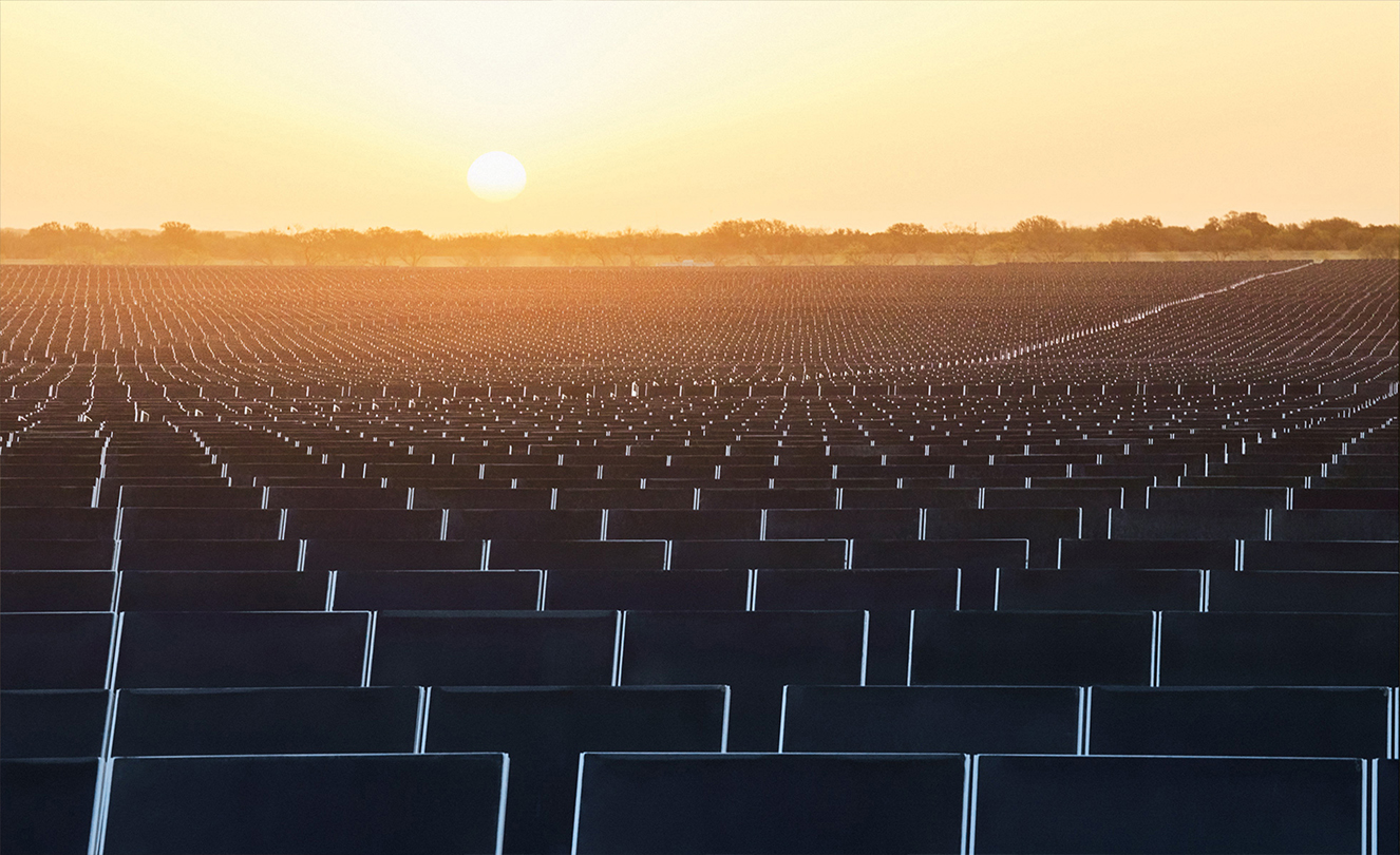 مئات الألواح الشمسية تحت ضوء غروب الشمس.