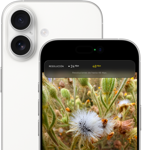 Selfie de grupo con la prestación Encuadre Centrado para fotos