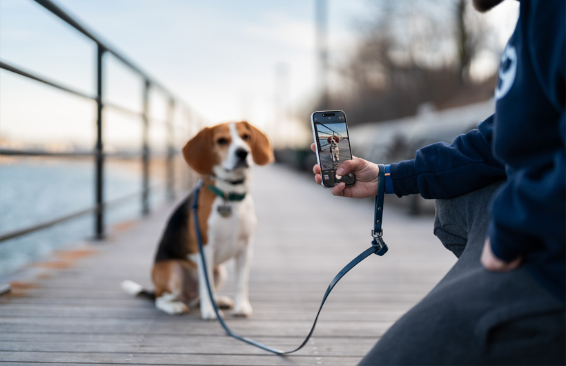 Die außergewöhnliche Qualität der iPhone Kamera lässt die Haustierberichte für die Tierbesitzer:innen noch besser aussehen.