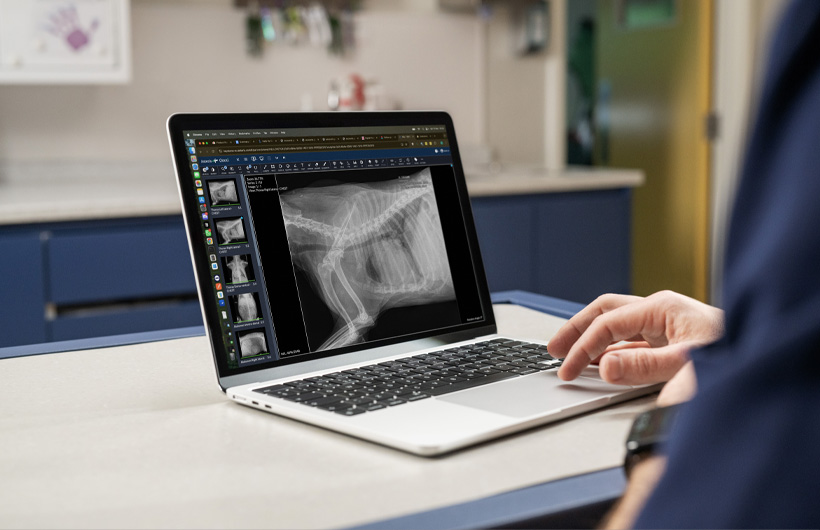 La MacBook Air muestra imágenes en tiempo real de radiografías y ecografías detalladas.